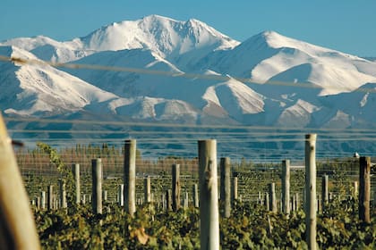 Mendoza fue incluida en la lista de los mejores destinos para visitar.
