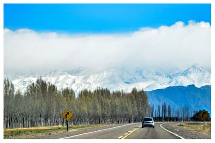 Mendoza fue una de las primeras provincias que habilitó la actividad turística