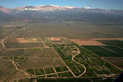 Mendoza recibió casi $4000 millones en inversiones productivas para frutales en el último año