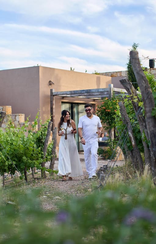 Mendoza se posiciona como epicentro del enoturismo en Sudamérica, con propuestas como Rosell Boher Lodge en Luján de Cuyo