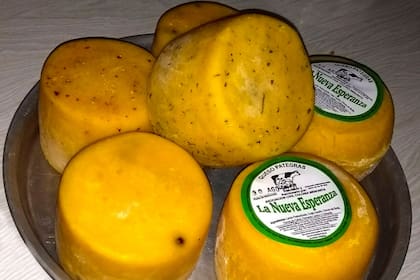 Menonistas en Argentina: producen como en el siglo XIX y venden en todo el país