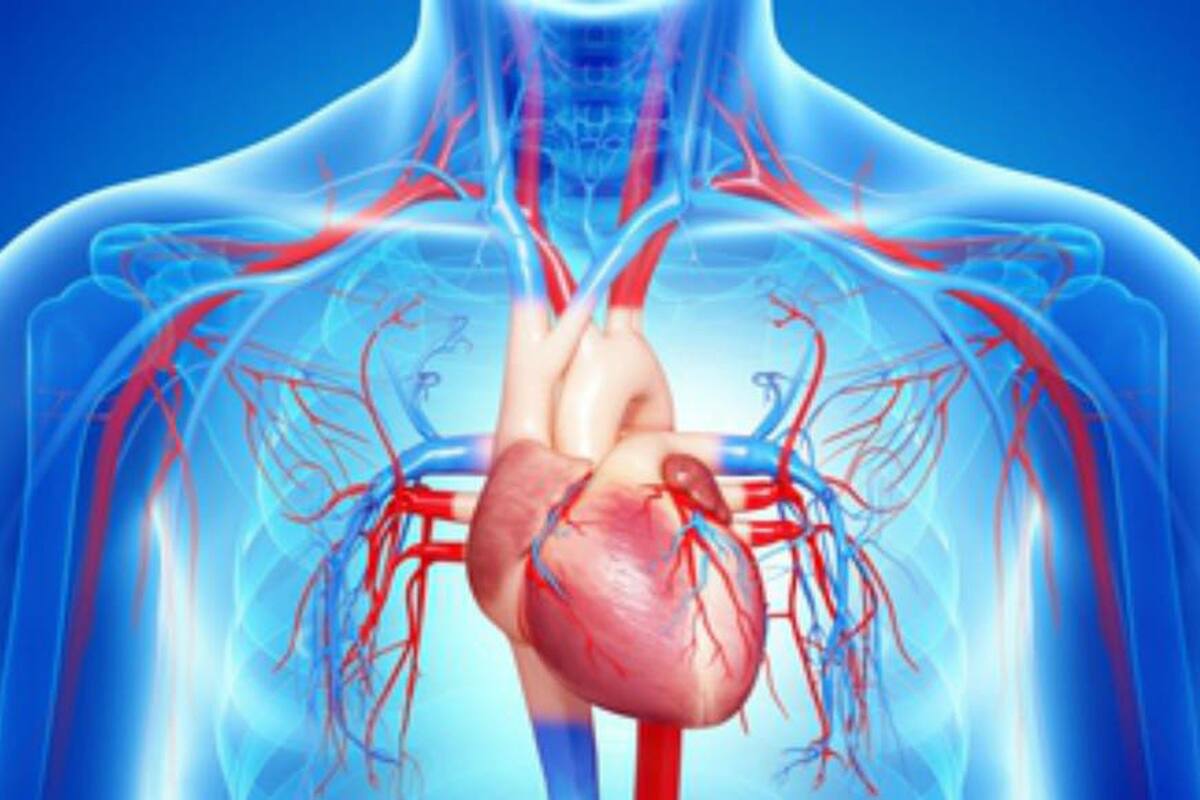 Menos difundida que los infartos, es la primera causa de hospitalización en mayores de 65; advierten que no hay que confundir sus síntomas con los "achaques" propios de la edad