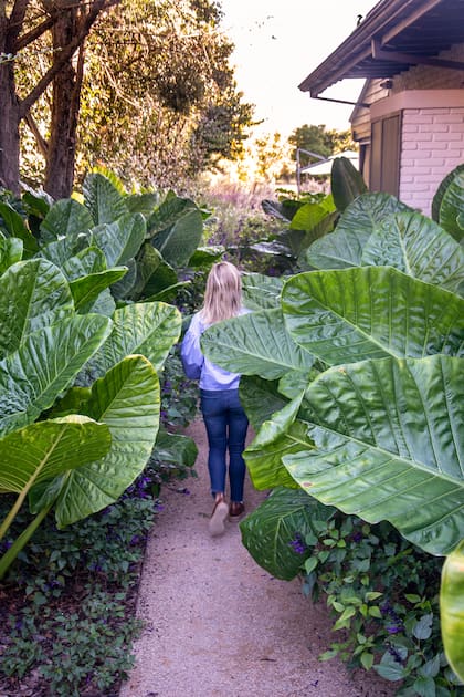 Menos especies elegidas por cómo florecen y más seleccionadas por cómo habitan el espacio