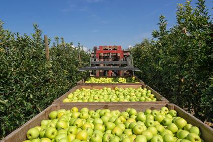 Menos trabas para enviar productos frescos a Bolivia