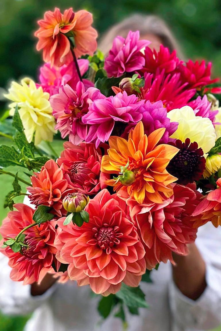 Mensaje de amor en formato floral.