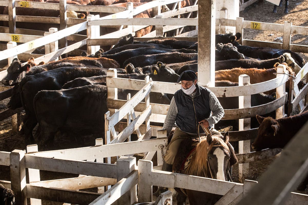 Mercado de Hacienda de Liniers.