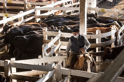 Mercado de Hacienda de Liniers.