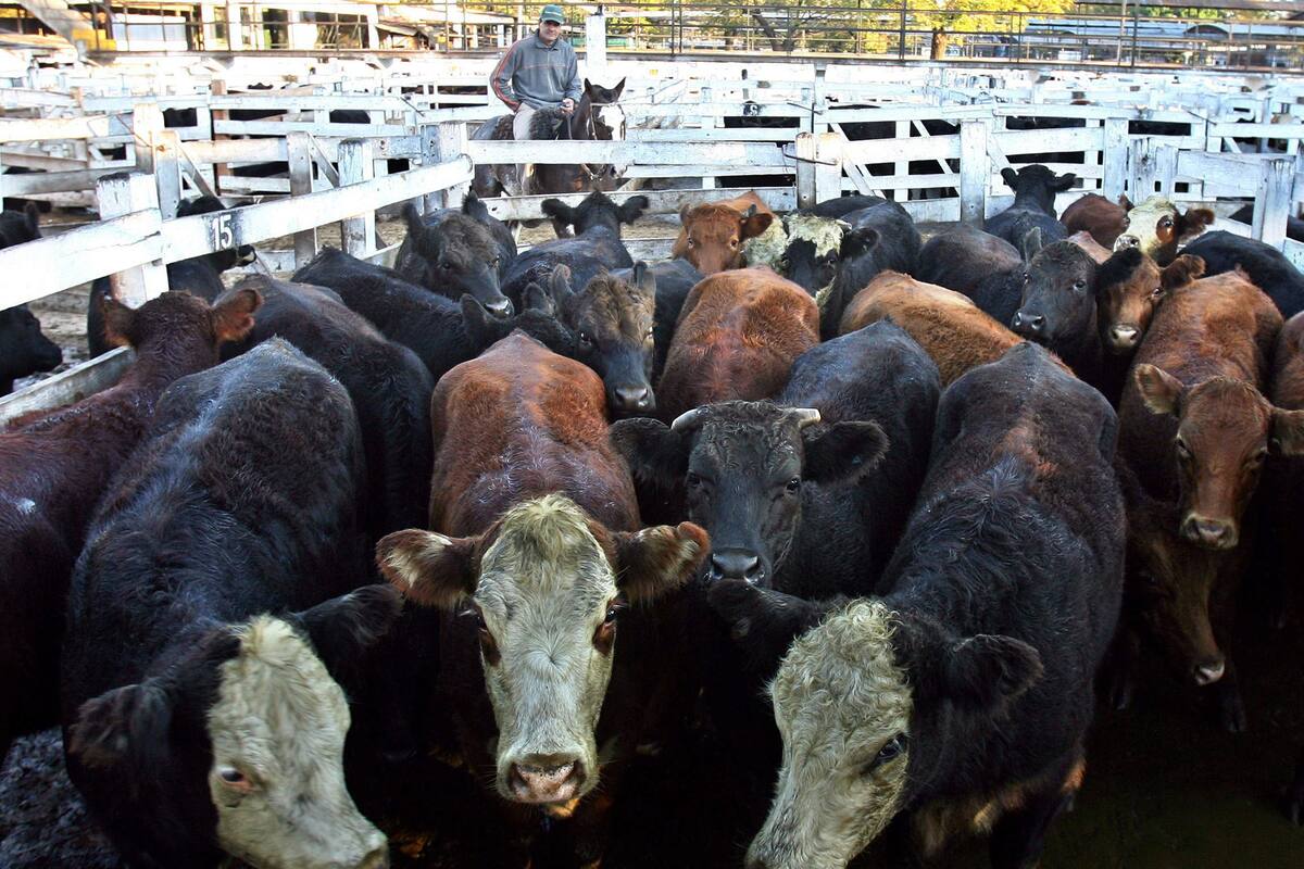 Mercado de Hacienda de Liniers