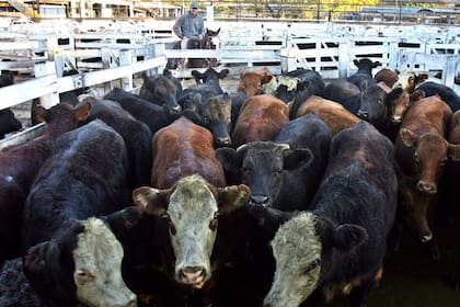 Mercado de Hacienda de Liniers
