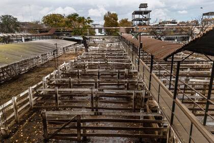 Mercado de Liniers durante el paro del campo en rechazo al cierre de las exportaciones de carne vacuna