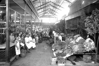 Mercado del Plata