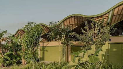 Mercado Nicolás Bravo en Quintana Roo, México