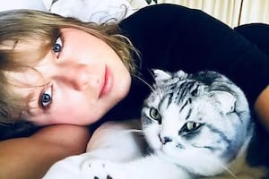 Meredith volvió: la gata de Taylor Swift reapareció para celebrar el regreso de su música