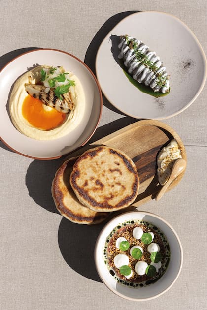 Hummus con hinojos grillados, berenjenas ahumadas, yogur y sésamo negro, en Mess.