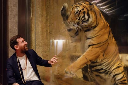 Messi cara a cara con un tigre en India