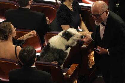 Messi, el perro de Anatomía de una caída, en los premios Oscar 2024