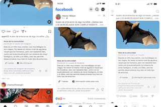 Meta prueba con las Notas de Comunidad para ponerle contexto a los posteos de Instagram, Facebook y Threads