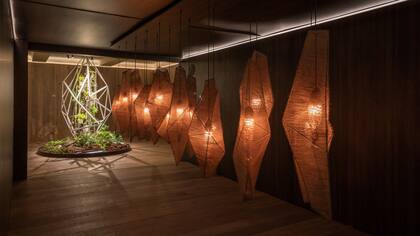 Metamorfosis - Medalla de Oro al Paisajismo 2022 Mercedes Malbrán de Campos