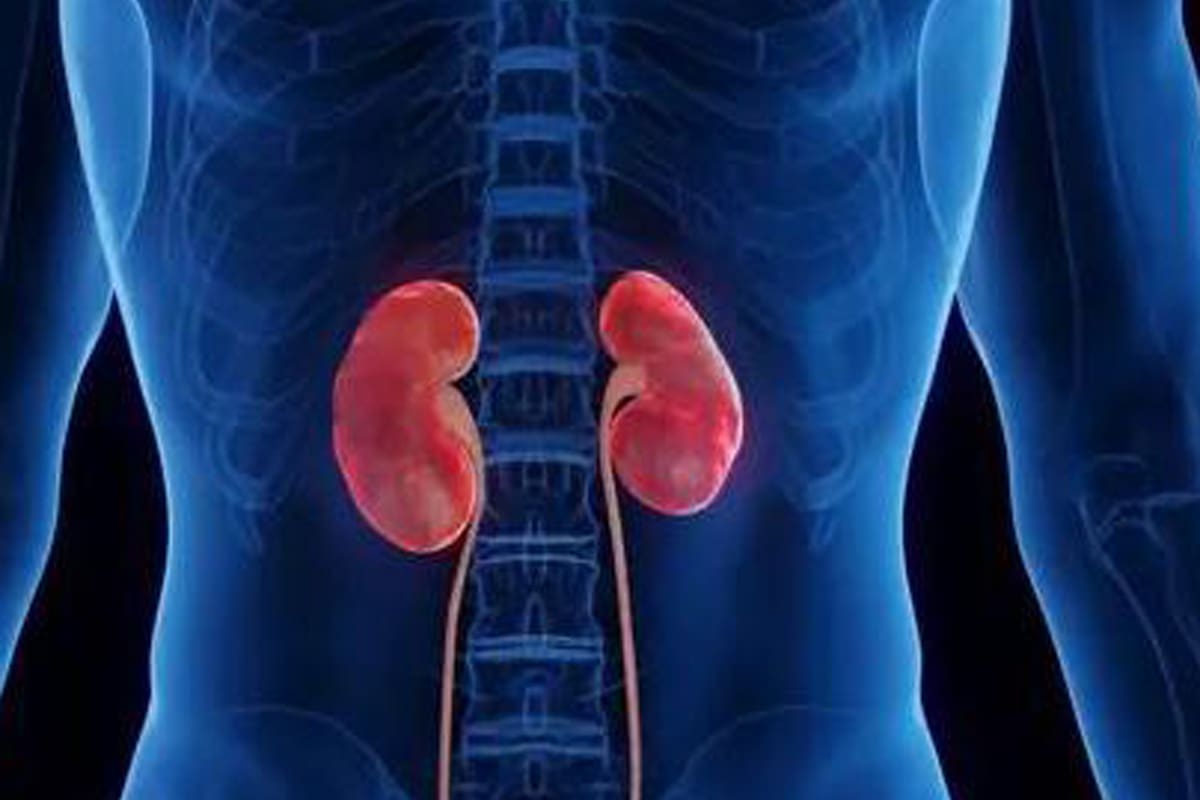 Metanol; BBC; BBC Mundo; Sociedad; bebidas alcohólicas; Kuchki; Moscú; destilería; Hannah Powell; oplosan; India;