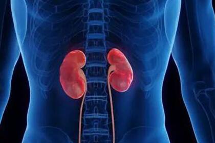 Metanol; BBC; BBC Mundo; Sociedad; bebidas alcohólicas; Kuchki; Moscú; destilería; Hannah Powell; oplosan; India;