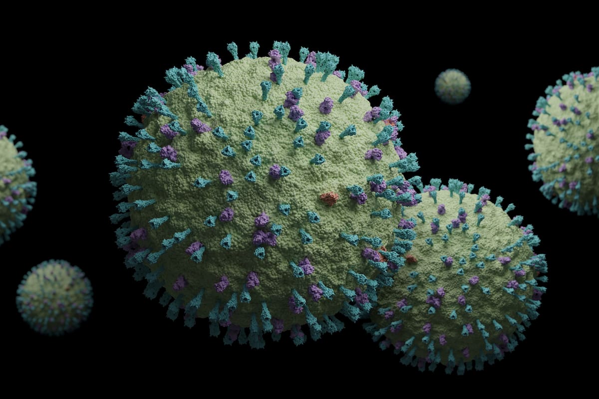 metapneumovirus humano (HMPV)