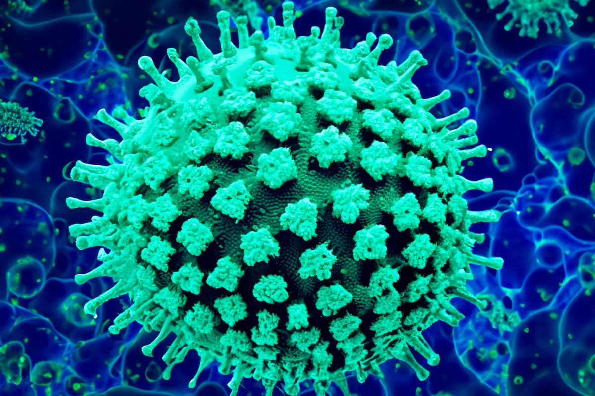 metapneumovirus humano (HMPV)