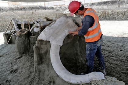 Los investigadores creen que el alto número de restos encontrados obedece a que esta zona correspondía al lago de Xaltocan, donde había abundante agua y alimento para los animales