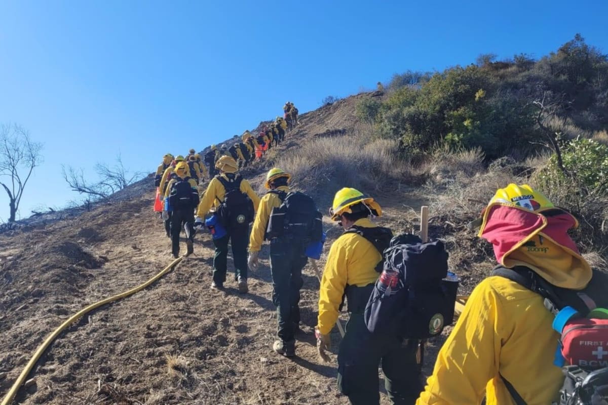 México envió un equipo de bomberos especializados para colaborar en la lucha contra los incendios en California, Estados Unidos
