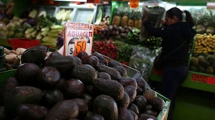 México es el mayor productor mundial de aguacates y de aguacates Hass específicamente
