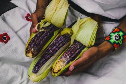 México es uno de los principales consumidores de maíz del mundo