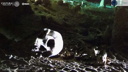 México: hallan huesos de más de 2 millones de años en la cueva inundada más grande del mundo