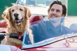 La conmovedora película de Netflix que te hará reflexionar sobre la amistad incondicional