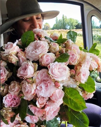 "Mi bisabuela amaba el verde, los árboles y las flores. Tenía frutales, hierbas, gallinas y miles de flores. Amaba ir a su jardín y escuchar sus historias".