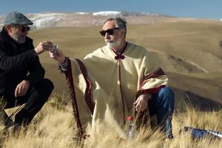 Quiénes ganan y quiénes pierden en el gran año del cine argentino