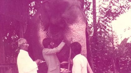 Mi padre y mi abuelo dando golosinas a Ekadantha, cuyo nombre significa "el de un solo colmillo"