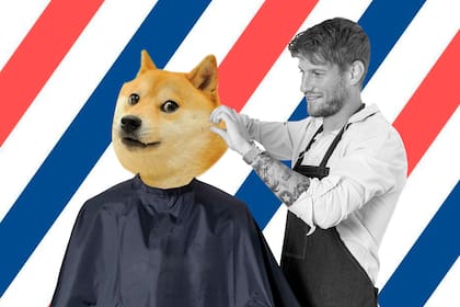 Mi peluquero invierte en Memecoins