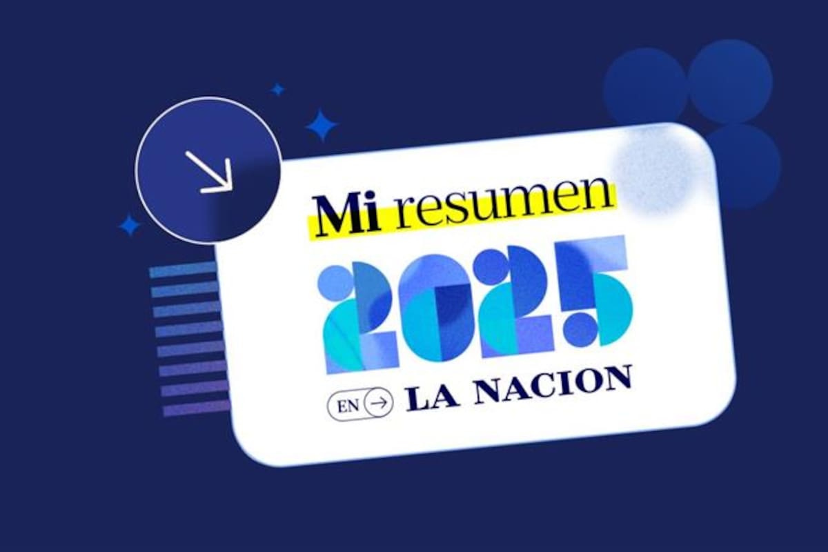 "Mi resumen 2025", en LA NACION