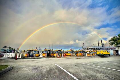 Miami Beach incorporará a principios de 2026 los taxis acuáticos gratuitos en su sistema de transporte
