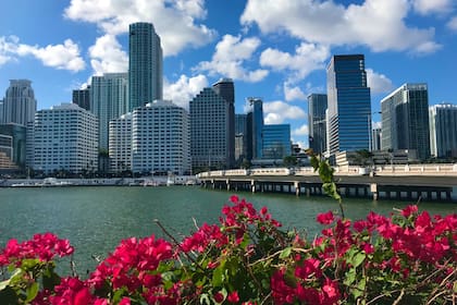 Miami se mantiene como uno de los destinos favoritos entre quienes buscan un nuevo lugar para vivir