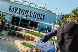 Miami Seaquarium ; Naturaleza y medio ambiente; Sociedad
