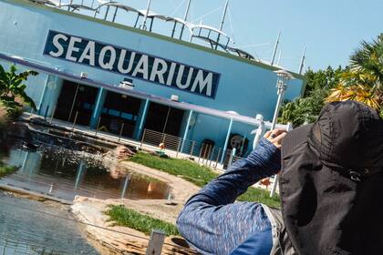 Miami Seaquarium ; Naturaleza y medio ambiente; Sociedad