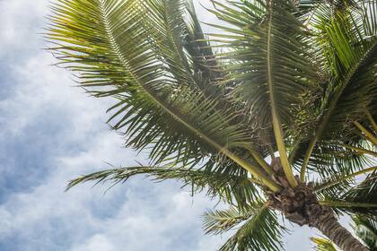 Miami tendrá un descenso en la temperatura durante los primeros días de la próxima semana