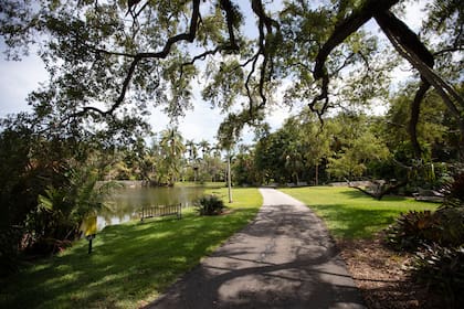 Miami tiene uno de los jardines botánicos más importantes de los Estados Unidos