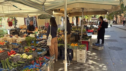 Micaela eligió el barrio de Pigneto, al lado del Cinema Aquila. Un barrio joven, que une la zona del Coliseo con Porta Metronia, con su mercado muy bien abastecido de frutas y verduras de productores de la zona, que la atrajo de inmediato.