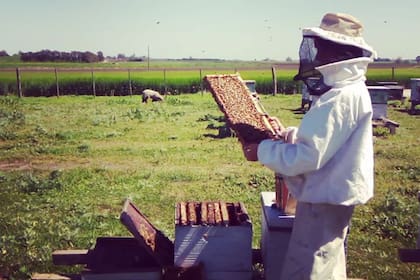 Micaela está lanzándose al mundo con la primera red de productores artesanales, para competir con la mejor calidad de exportación