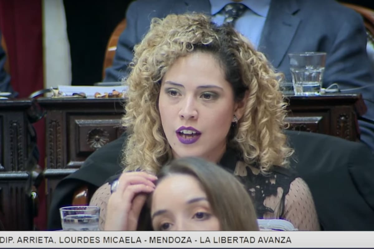 Micaela Lourdes Arrieta, diputada nacional La Libertad Avanza
