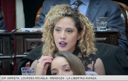 Micaela Lourdes Arrieta también evalúa apartarse del bloque de LLA