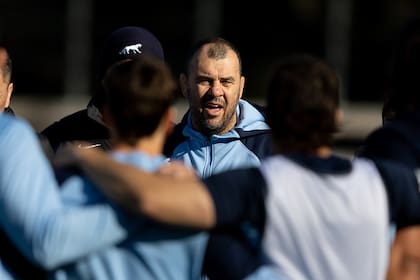 Michael Cheika dispuso darle la titularidad a Isgró como wing, tras la gran campaña del mendocino en los Pumas 7s