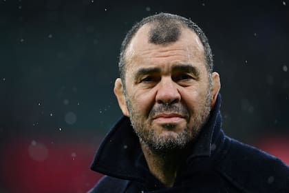 Michael Cheika, entrenador de los Pumas, encontró una buena respuesta en el seleccionado argentino