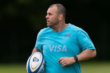 Michael Cheika, head coach de los Pumas